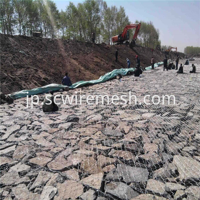 Gabion mesh for wall